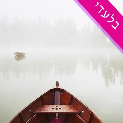 Fog