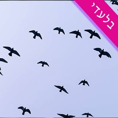 Rhythmic Mediterranean pop